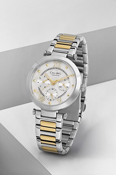 Calibre Timemaster Serisi Metalik Gümüş / Altın Çelik Kordonlu Multifonksiyon...