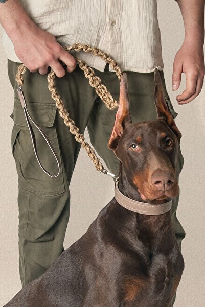 pasiole Köpek Tasması, Köpek Deri Gezdirme Kayışı, Sağlam Köpek Gezdirme Kayışı - Hia