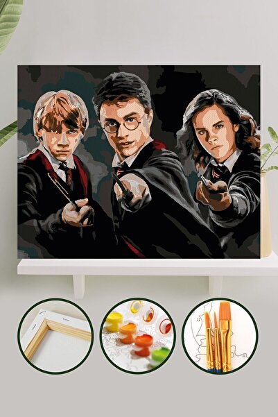 Palmiye Hobi Sanat Kırtasiye Sayılarla Boyama 40x50 Cm Tuval Seti Fırça Boya Dahil Çıtaya Gerili - Harry Potter