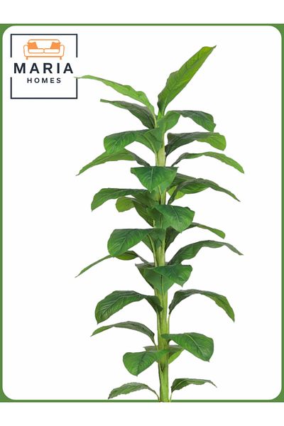 MARIA HOMES Artificial Banana Leaf Tree 200 cm – Tall Indoor Plant with White Pot
