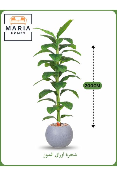 MARIA HOMES Artificial Banana Leaf Tree 200 cm – Indoor Decorative Plant with Light GRAY Pot