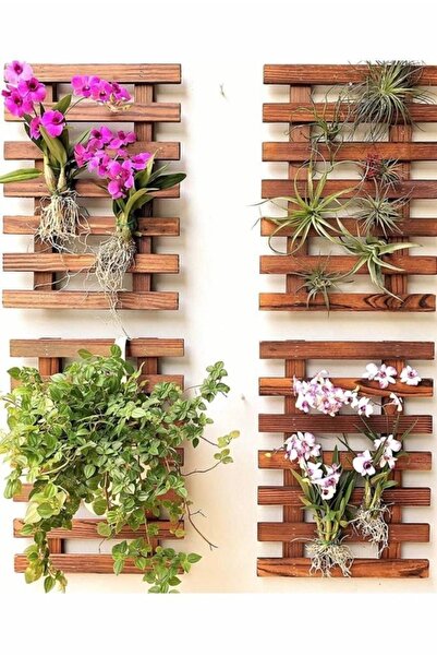 Genel Markalar Dekoratif Çıta Duvar Tipi Ahşap Çiçeklik 4'lü