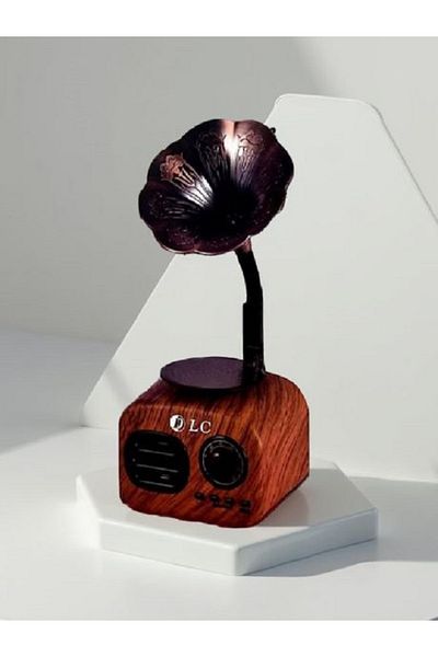 DLC Bluetooth Headset and Radio