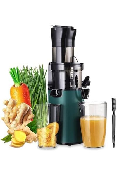 Inkbird Electric Juicer Fruits Cold Press Squeezer Vegetable Processor Slow Masticating Juicer Machine