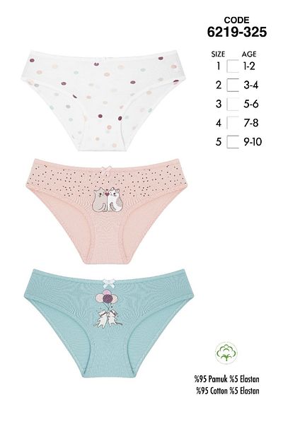 Cicito Girls' Cotton Lycra Colorful Bikini Panties 3 Pack 6219