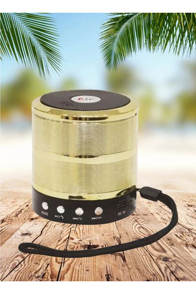 DLC Mini USB and SD Card Rechargeable Speaker Random Color