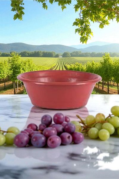 ÇEÇEN HOME Multi-Purpose (Dough, Fruit-Vegetable, Dish) Basin, Small Stepped Basin (29 X 9 cm)