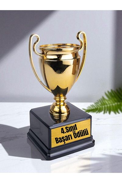 lili hediyelik 4. Classroom Achievement Award - Transcript Gifts Student Gift Souvenirs