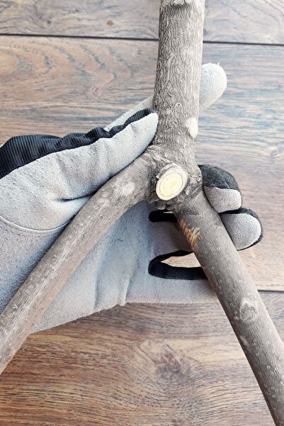 Vixpet Venty Natural Parrot Cage Truss 43 cm |   Sultan, Konur, Monk, Muhabbet, Sevda, Lori, Forpus T451