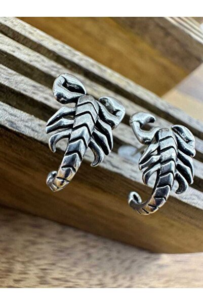 Akca gümüş GÜMÜŞ AKREP KÜPE