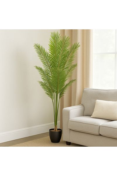 Gharaib Al Tuhaf Green Elite Palm Tree - A Luxurious Touch to Decor 180cm
