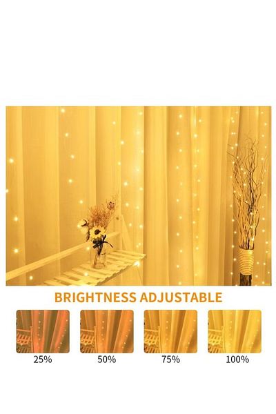 DLC Decorative curtain string lights 3 m x 2 m 200 working LED bulbs