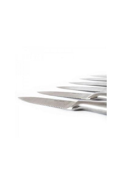 CECOTEC Meat knife set, professional model, 6 pieces, stainless steel