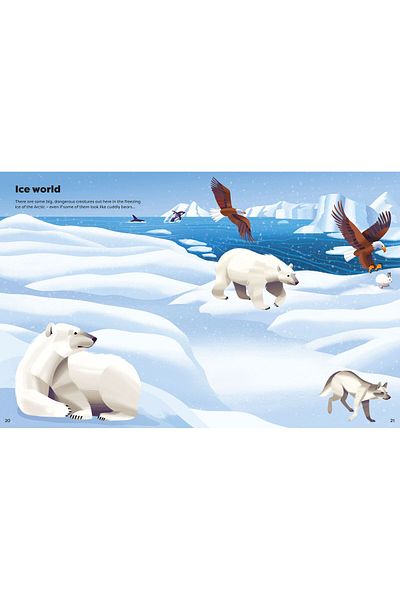 Usborne Big Sticker Book Deadly Animals