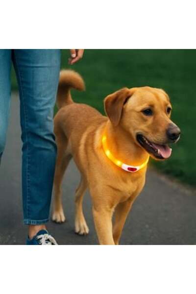 UnderShop LED Light Collar for Dogs