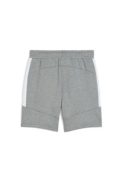 Puma Teamevostripe Shorts Men's Casual Shorts 65995133 Gray