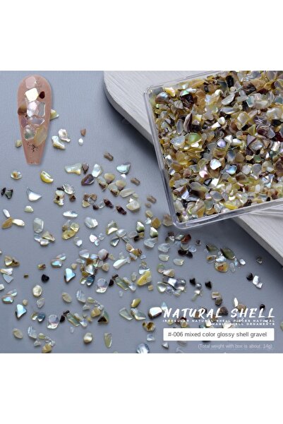 Choice 04 1 صندوق صدفة أظافر ديكور صدفة غير منتظمة ثلاثية الأبعاد جوهرة لامعة...