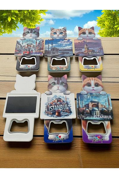 GALATA GIFT Cat Shaped Bottle Opener Magnet-6 Pieces Istanbul Photo Holding Cat Magnet-Soda-Soda-Bottle Opener
