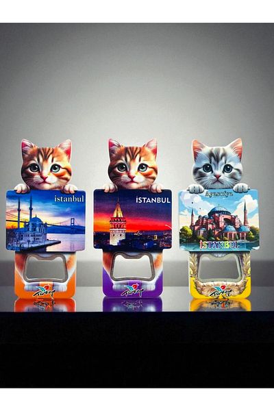 GALATA GIFT Cat Shaped Bottle Opener Magnet-6 Pieces Istanbul Photo Holding Cat Magnet-Soda-Soda-Bottle Opener