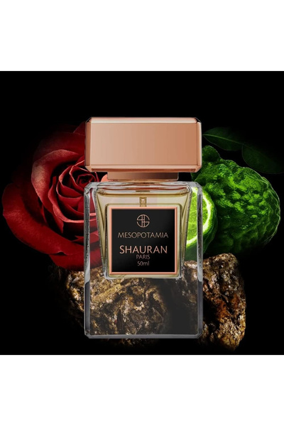 SHAURAN عطر ميسوبوتاميا يو للجنسين، أو دو برفيوم، 50 مل