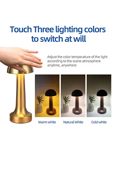 Vadi Dokunmatik Şarjlı 3 Kademeli Işıklı Gece Lambası Usb Girişli Siyah Metal Mantar Masa Lambası