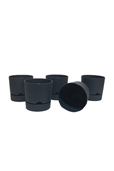 POLİVAHOME Avantajlı Set 5 Adet Begonya 12 Cm Tabaklı Saksı Antrasit 1 Lt