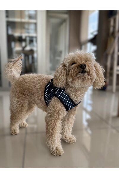 WoofTailor Göğüs Tasması -