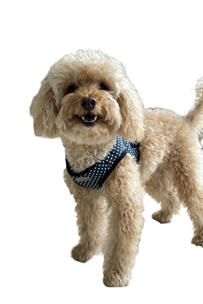 WoofTailor Chest Harness -