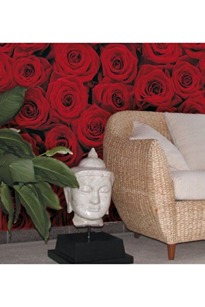 Komar Kumar Wall Views 4/077