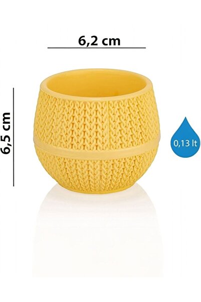 MF Botanik Amasra Saksı kaktüs ve sukulent saksı saksılık SARI