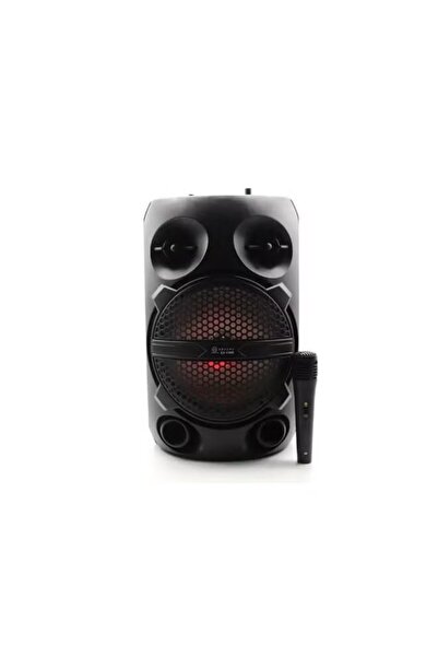 DLC Portable Bluetooth Speaker (USB / TF Karaoke Slots) Support Microphone