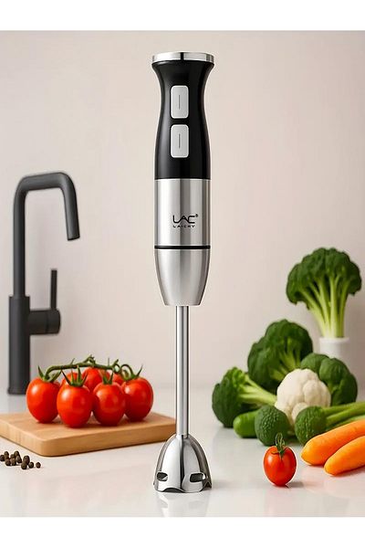LAC LAICHY Handheld Blender For Kitchen, 300w Stainless Steel,2 Speeds,grey