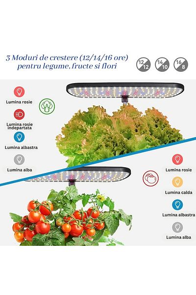 OEM Hydroponic Growing System, 12 Plants, Automatic Timer, Adjustable Height, 4 L Water Tank