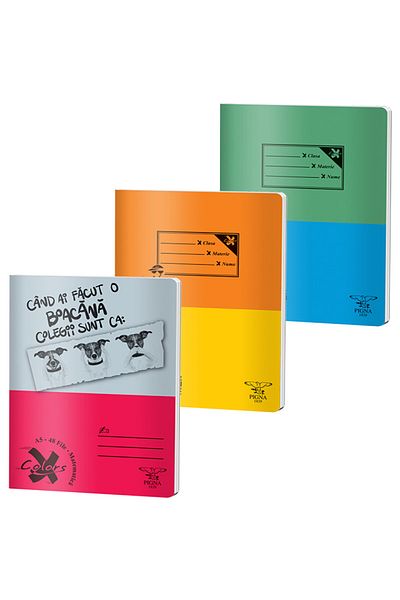 PIGNA , Notebook A5 48 Pages, Arithmetic Ruling, 60 gsm Paper, Monochrome Cardboard Cover