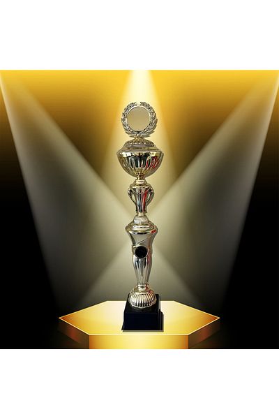 AYYILDIZ BAYRAKÇILIK Gold Award Cup 51cm