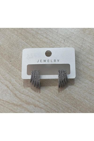 ÇEÇEN HOME 2 Pcs Silver Color Stone Detailed Earrings, Steel Earrings