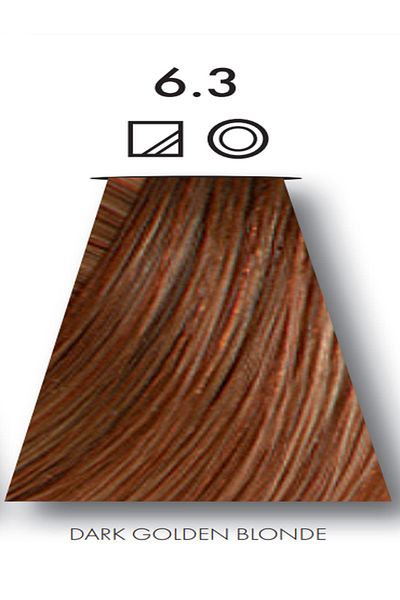 Keune 2 packs of Keune Tinta Color Hair Dye No. 6.3 Dark Golden Blonde with Silk Protein Treatment