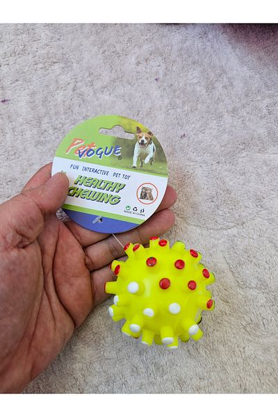 hebmeyy Dog Voice Toy