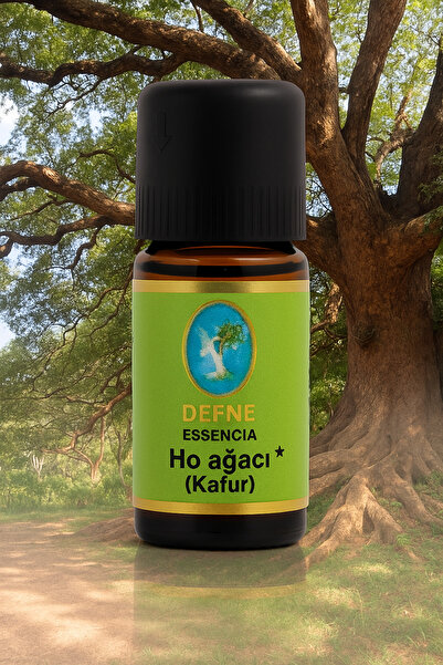 Nuka Defne Esencia هو تري* زيت عطري عضوي (الكافور) نقي 100% 10 مل