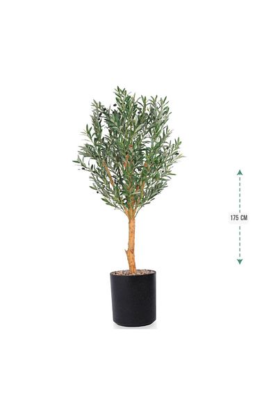 Ch Olive tree plastic basin, size 175 cm