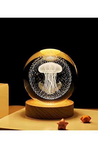 Vefa Lighted Six Wooden Glass Globe with Decorative Design