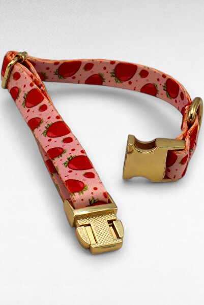 CARAMELOS İSİMLİ KÖPEK TASMASI, YAVRU KÖPEK TASMASI, KÜÇÜK IRK KÖPEK TASMASI, METAL KİLİT, 1,5 CM