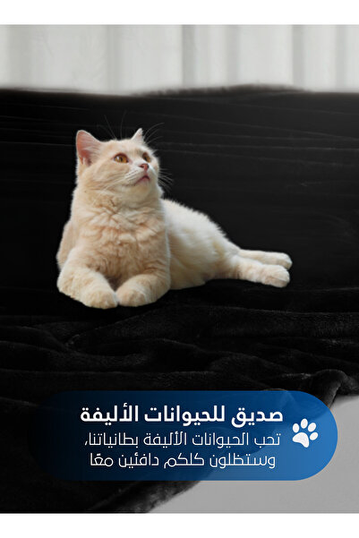 Master Home Textile Lightweight Velvet Blanket, 350GSM, 260x240cm King Size, Soft All Season Flannel for Bed & Sofa