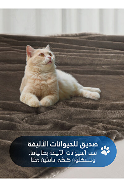 Master Home Textile Lightweight Velvet Blanket, 350GSM, 260x240cm King Size, Soft All Season Flannel for Bed & Sofa