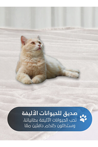 Master Home Textile Lightweight Velvet Blanket, 350GSM, 260x240cm King Size, Soft All Season Flannel for Bed & Sofa