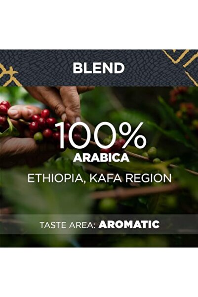 LavAzza Kafa Forest Arabica Single Origin Coffee Beans, 500 g