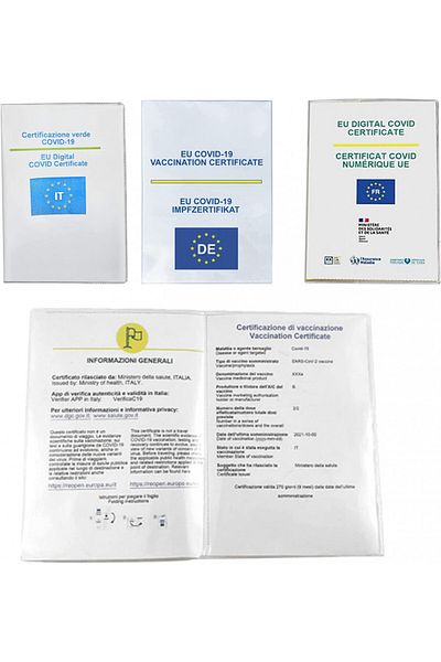 Mizijia Set of 50 Mizijia passport/passport covers, PVC, transparent, 154 X 110 mm
