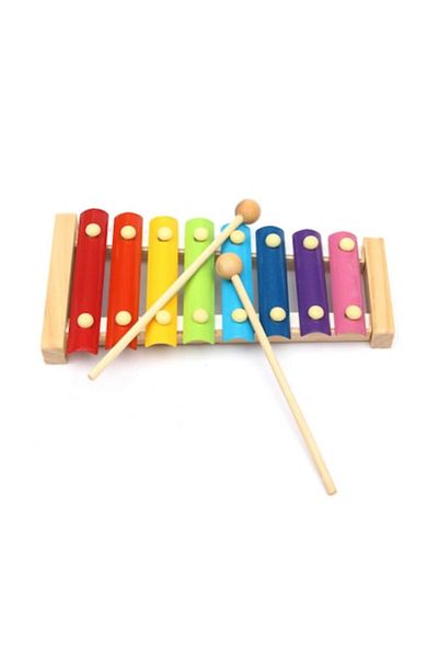 Picodino Wooden Xylophone Musical Toy with 8 Notes, Hammer, Multicolor