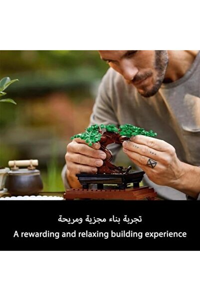 LEGO LEGO 10281 Icons Bonsai Tree Set for Adults, Plants Home Décor Set with Flowers, DIY Projects, Rela