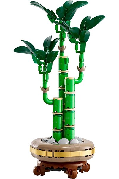LEGO Botanicals Lucky Bamboo (10344) – Adult Building Set – Home & Office Decor